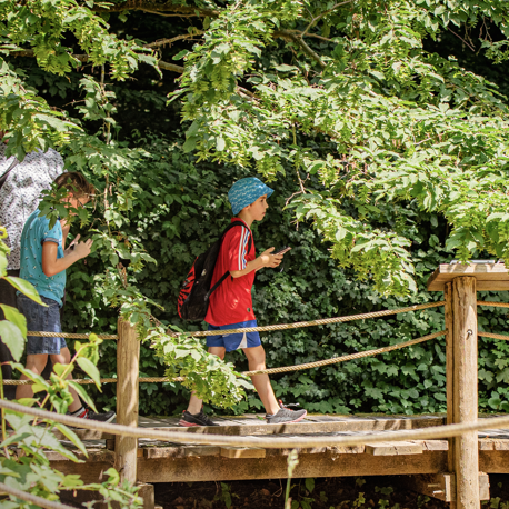 S’émerveiller, s’amuser, s’activer et apprendre en juillet dans les Espaces Naturels métropolitains 